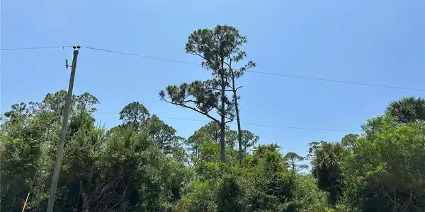 Image 3 Image 3