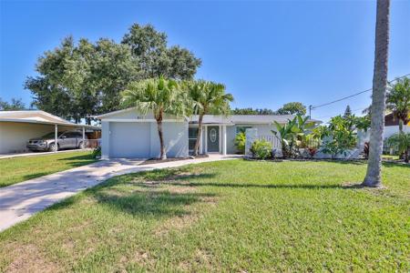517 FLORIDA CIRCLE N