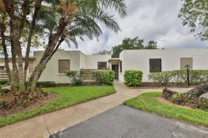 461 PALM TREE