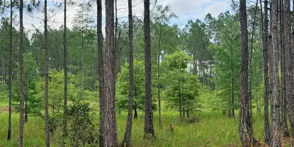 Image 3 Image 3