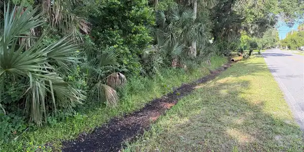 Image 4 Image 4