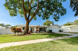 1028 CHINABERRY