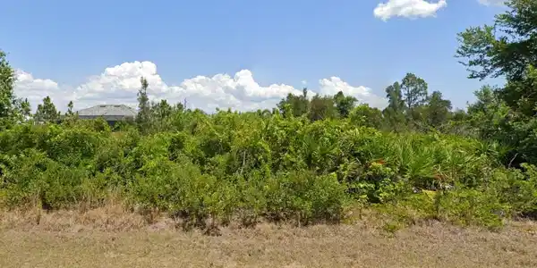 Image 4 Image 4