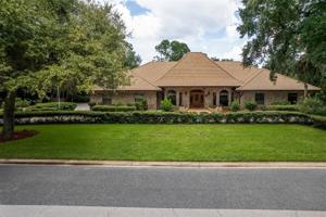 8 LIVE OAK