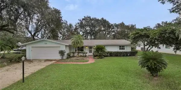 1701 ORANGE TREE