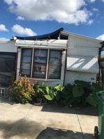1475 FLAMINGO