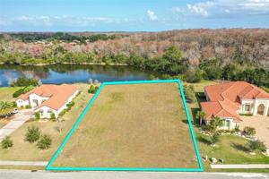 40 SCARLET OAK