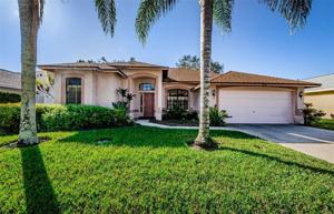 2811 BRANCH CREEK