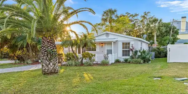 1400 BAY PINE