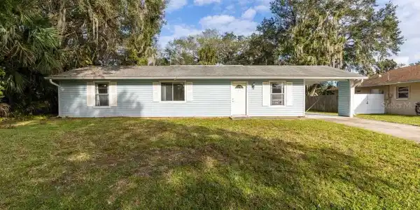 3411 NEEDLE PALM
