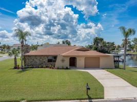 3484 FLAMINGO