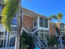 3586 CAPE HAZE