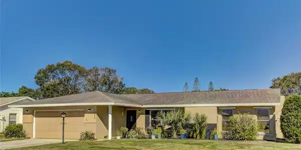 1005 PONDEROSA PINE