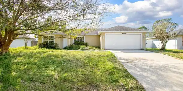 3116 QUEEN PALM