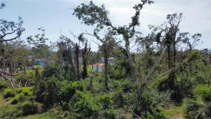 8343 CYPRESS