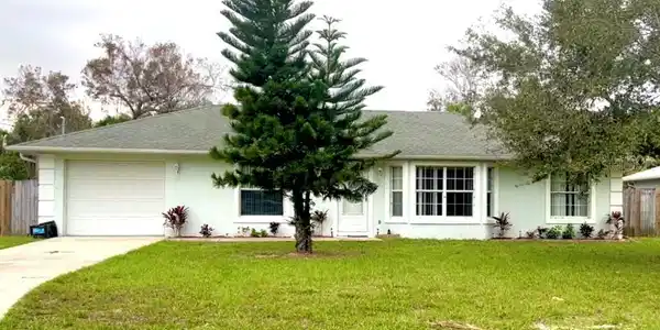 424 LIVE OAK