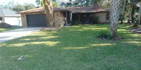 1413 ORANGE TREE