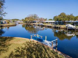 11491 SANDPIPER