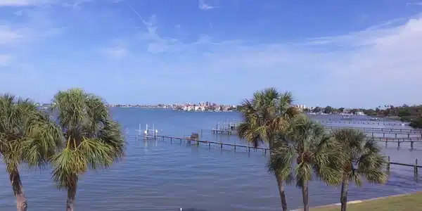 100 BLUFF VIEW
