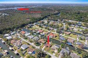 3904 CALUSA