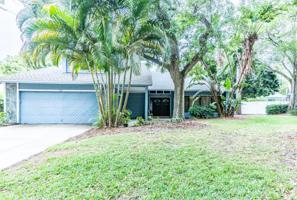 1733 PINE HILL