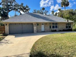 2910 MANGO TREE