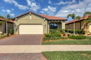 24105 SPARTINA