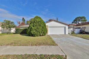 3133 SALTON