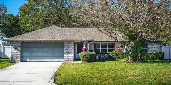 2912 ORANGE TREE