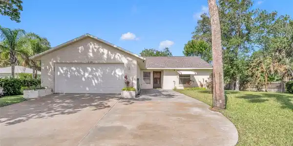 2024 LIME TREE