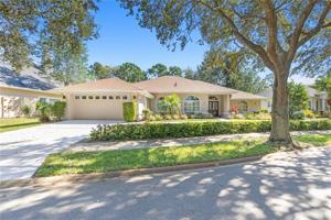 3 IBIS CT S