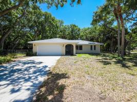 591 THISTLE