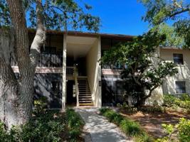 638 BIRD BAY E
