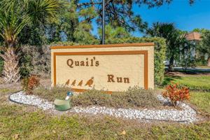 24 QUAILS RUN