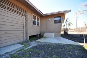 2623 TAMARIND