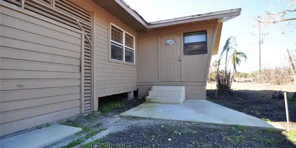 2623 TAMARIND