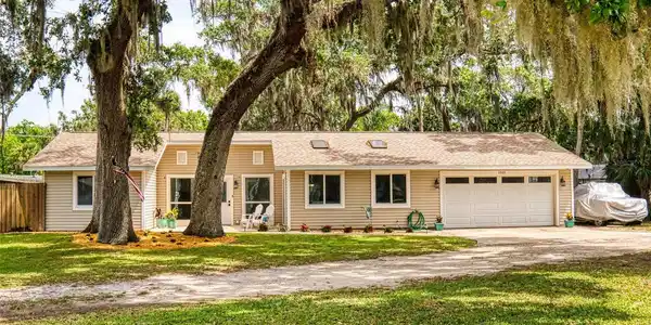 1703 QUEEN PALM