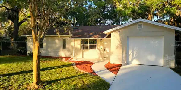 1718 LIME TREE