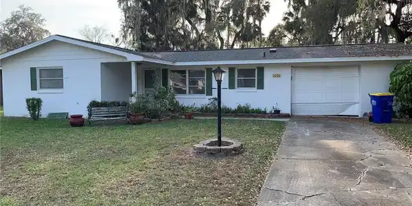 2224 MANGO TREE