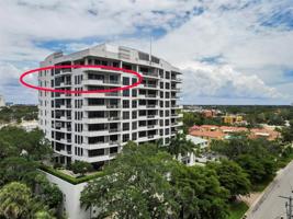 401 PALM