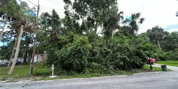 240 PALM