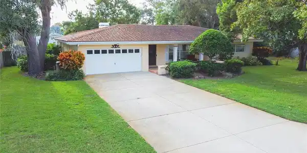 125 LIVE OAK