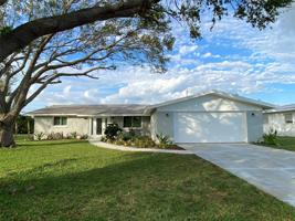 357 PINE TREE