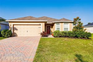 28208 ARROWHEAD