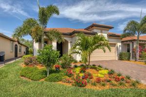 10036 COZY GROVE