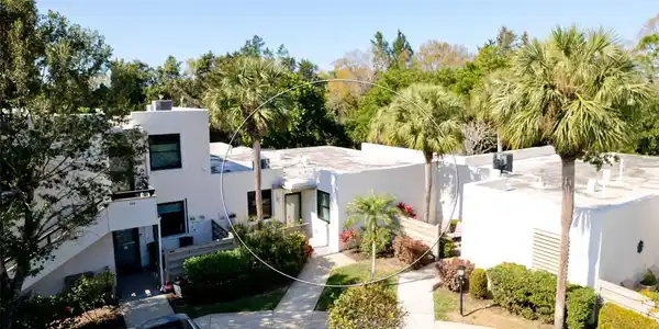 442 PALM TREE