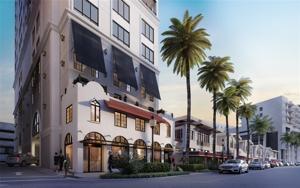 33 PALM