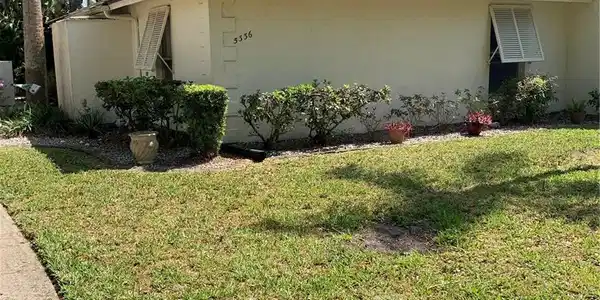 5336 ROYAL PALM