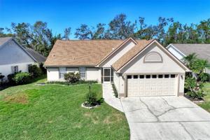 401 BLUE SPRINGS CT