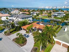 465 ROYAL FLAMINGO